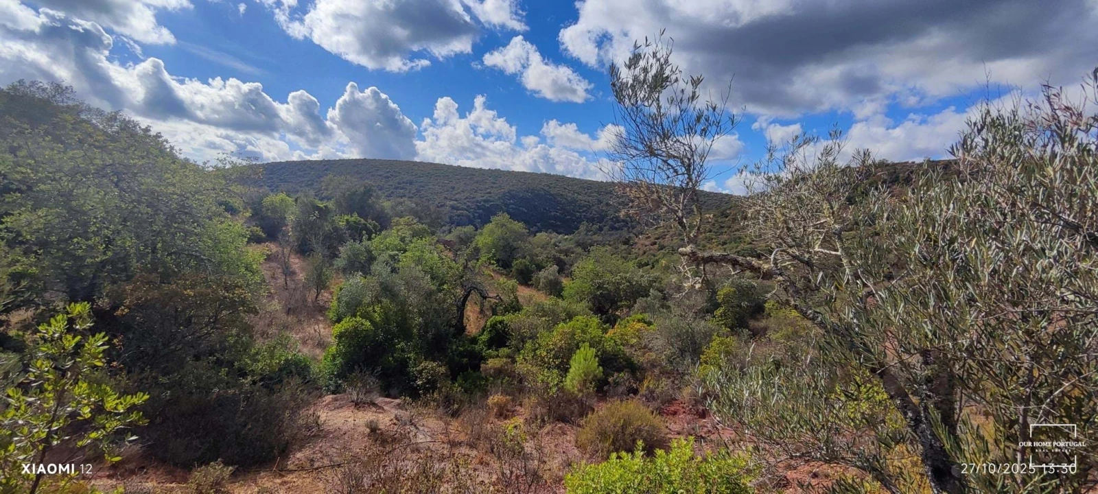 Terreno para Venda em Loule (São Clemente) Foto 6