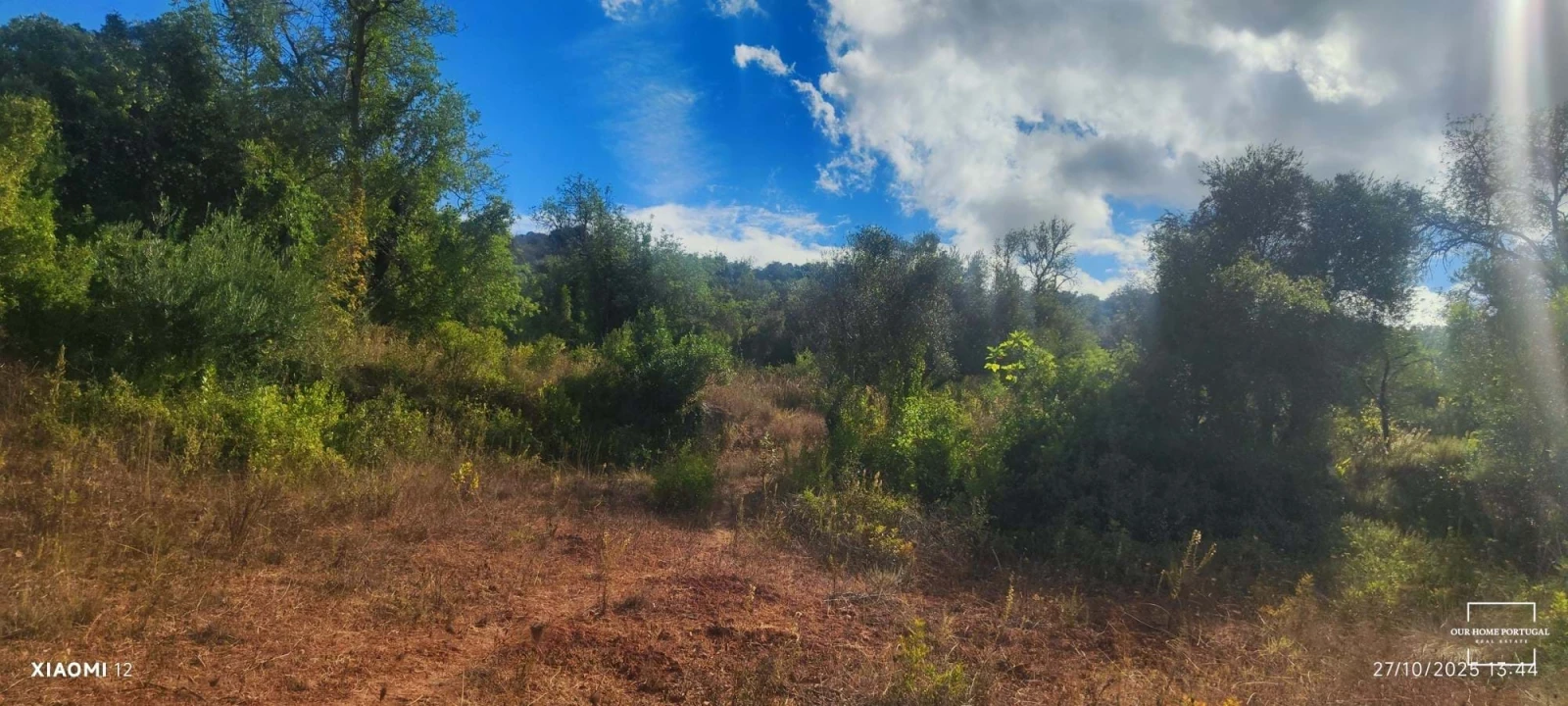 Terreno para Venda em Loule (São Clemente) Foto 3