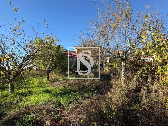 Moradia T3 para Venda em Caparrosa e Silvares Foto 36