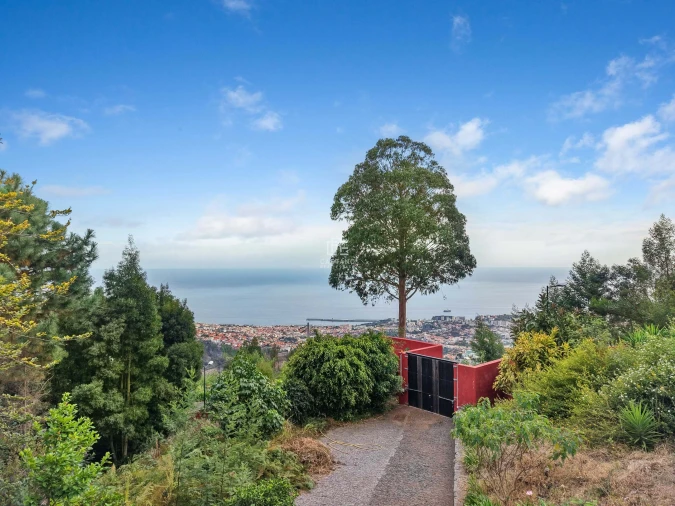 Moradia T17 para Venda em São Roque Foto 81