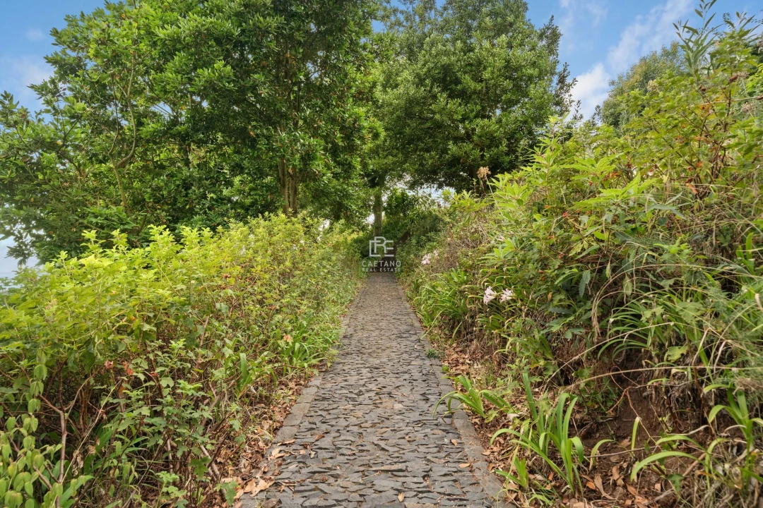 Moradia T17 para Venda em São Roque Foto 75