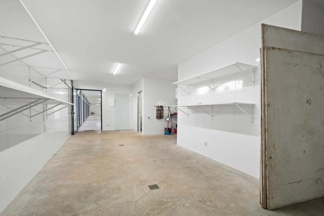 Moradia T17 para Venda em São Roque Foto 78