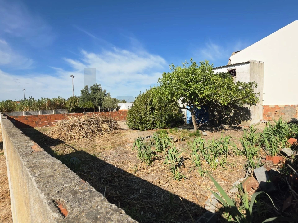 Terreno para Venda em Montijo e Afonsoeiro Foto 3