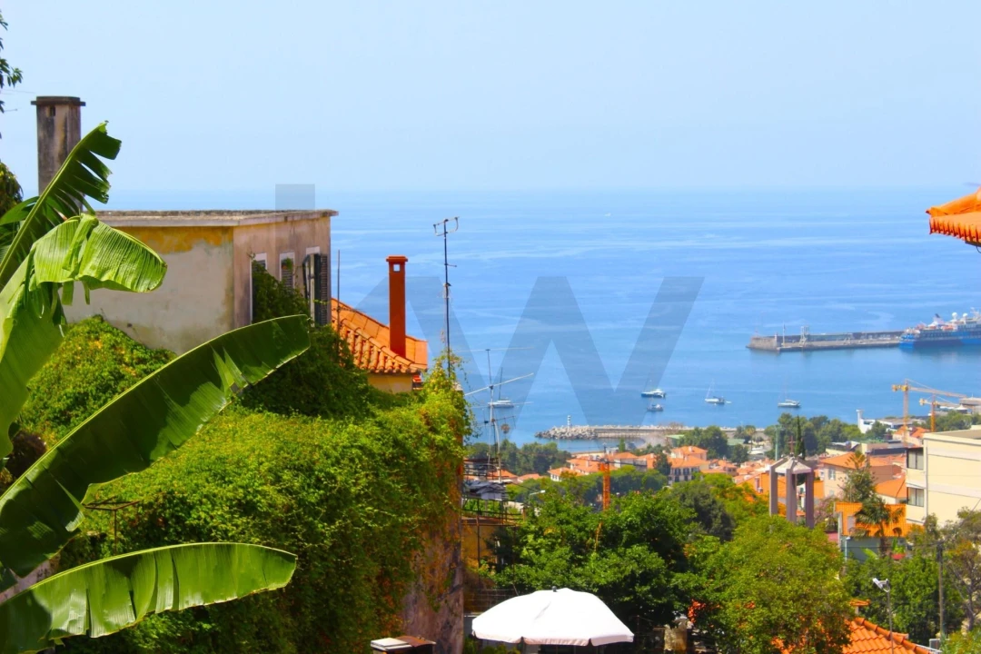 Moradia T5 para Venda em Funchal (Santa Maria Maior) Foto 37