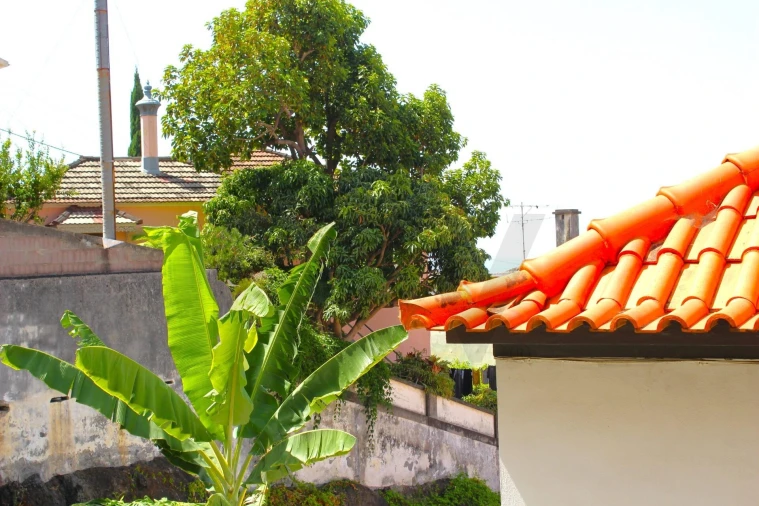 Moradia T5 para Venda em Funchal (Santa Maria Maior) Foto 21