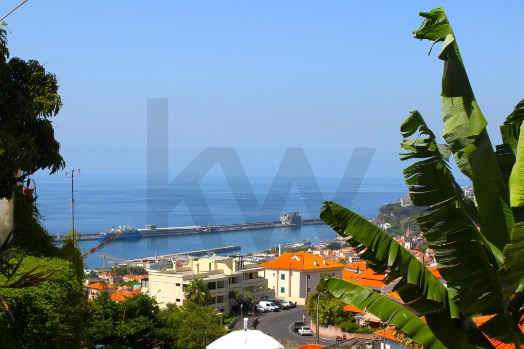 Moradia T5 para Venda em Funchal (Santa Maria Maior) Foto 6