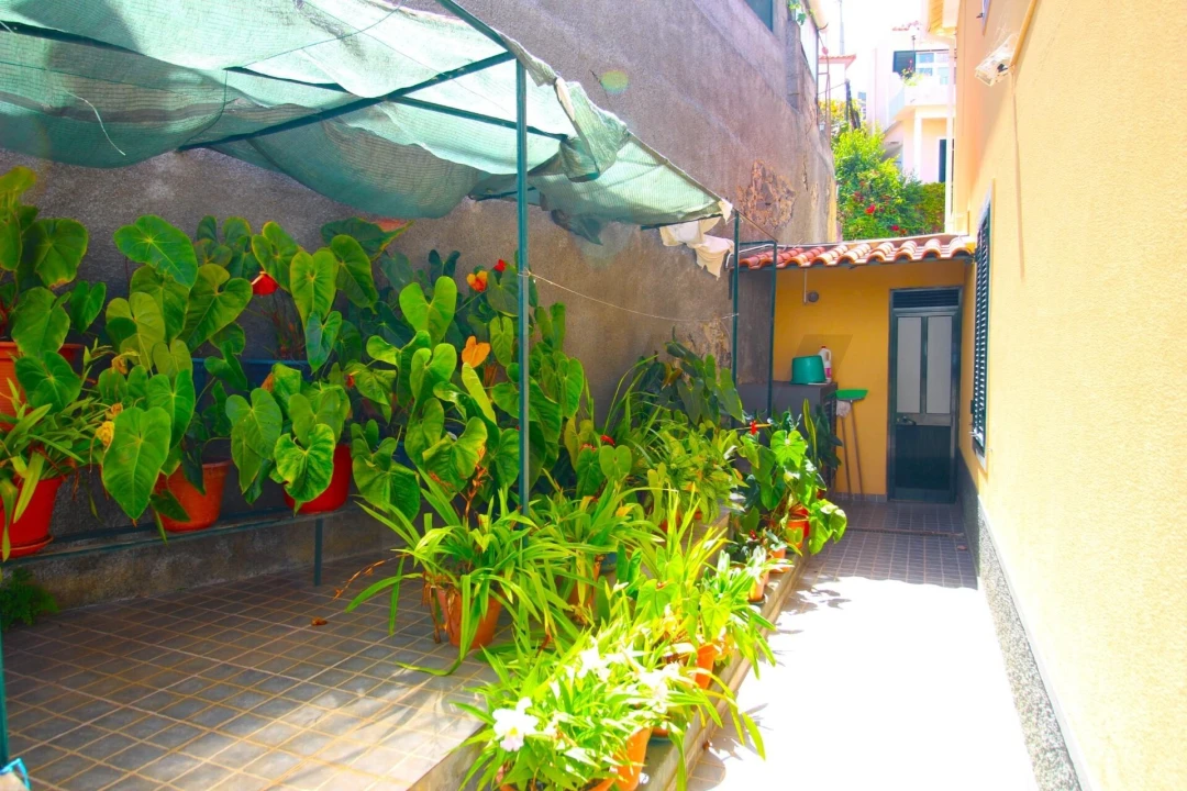 Moradia T5 para Venda em Funchal (Santa Maria Maior) Foto 11