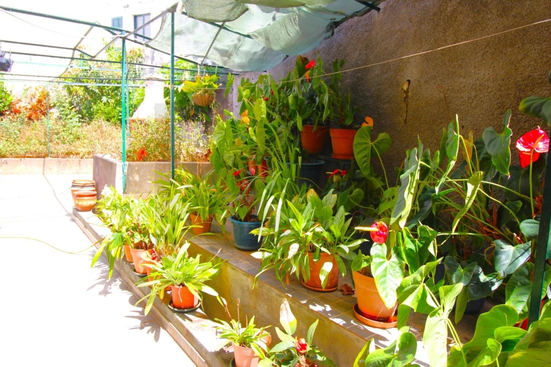 Moradia T5 para Venda em Funchal (Santa Maria Maior) Foto 35