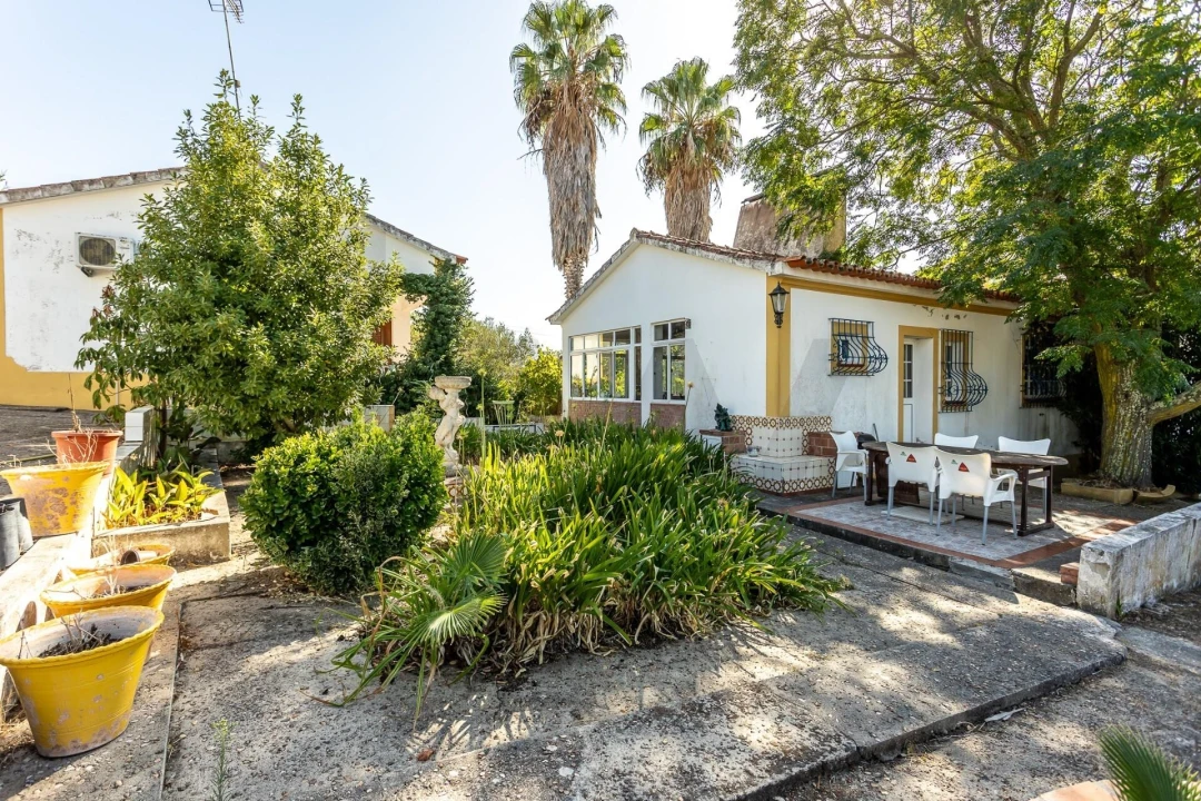 Quinta T8 para Venda em Pavia Foto 21