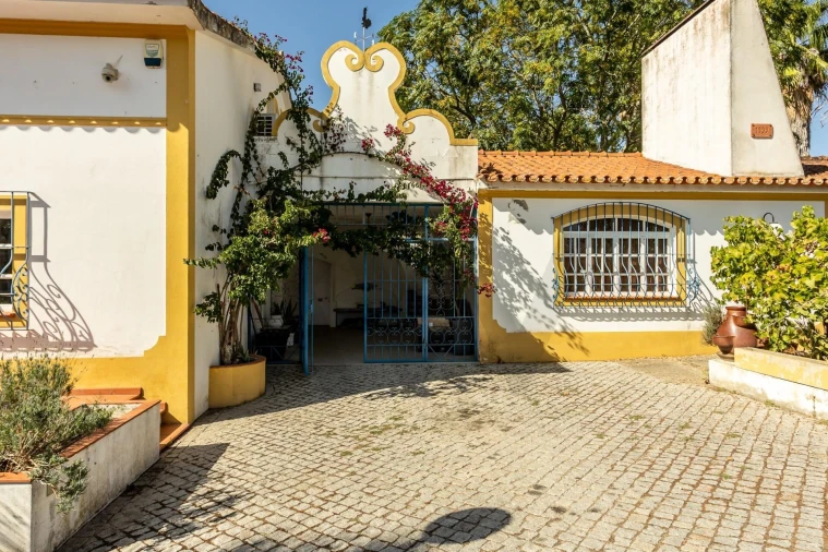 Quinta T8 para Venda em Pavia Foto 38