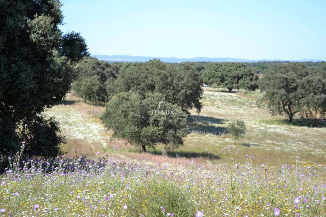 Terreno Agricola ou Rústico para Venda em Barbacena e Vila Fernando Foto 31