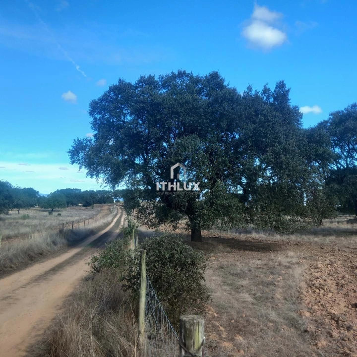 Terreno Agricola ou Rústico para Venda em Barbacena e Vila Fernando Foto 7