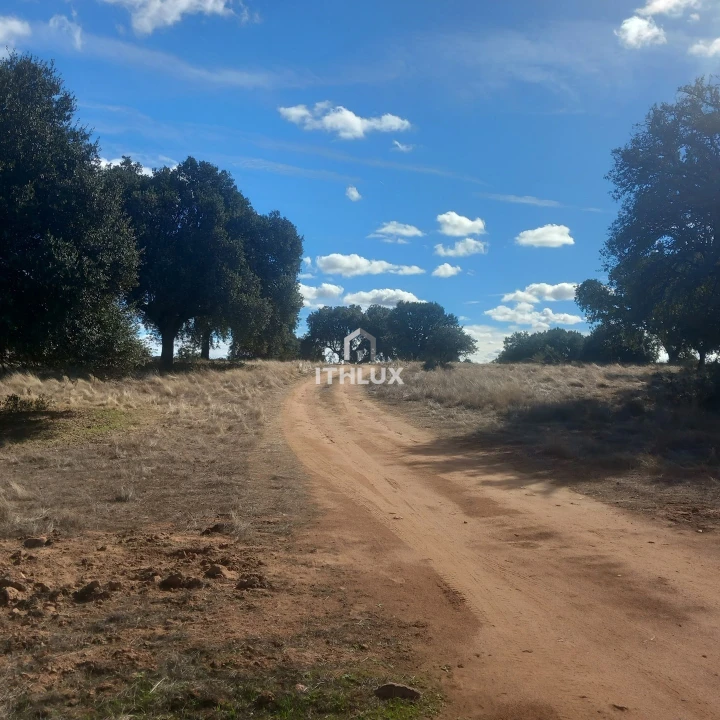 Terreno Agricola ou Rústico para Venda em Barbacena e Vila Fernando Foto 7