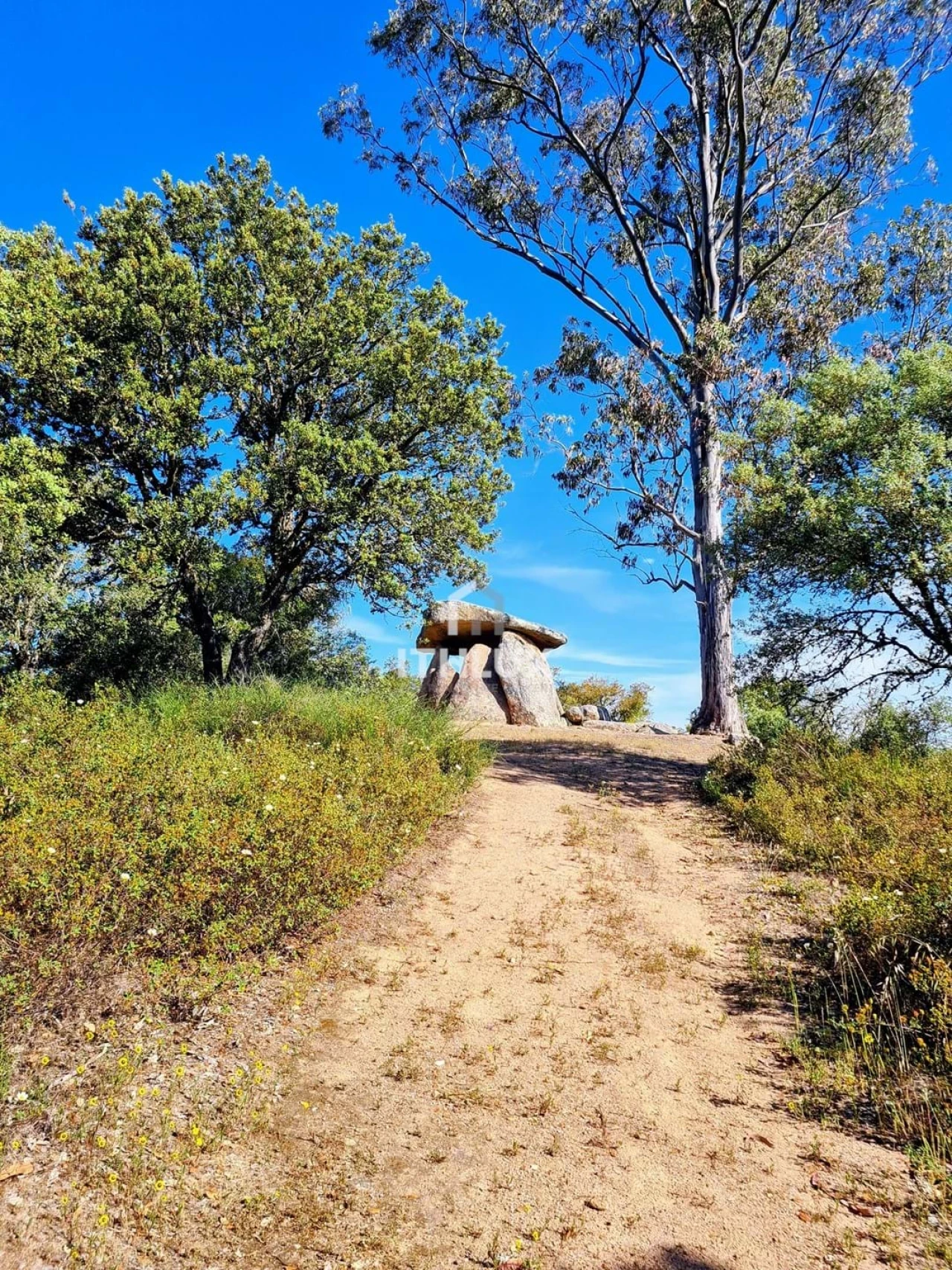 Terreno Agricola ou Rústico para Venda em Barbacena e Vila Fernando Foto 33