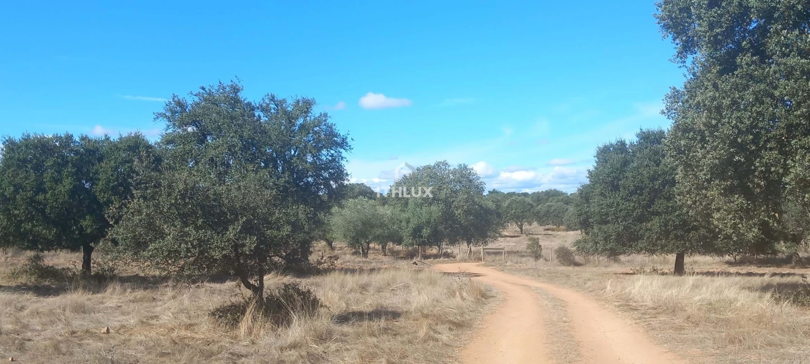 Terreno Agricola ou Rústico para Venda em Barbacena e Vila Fernando Foto 23