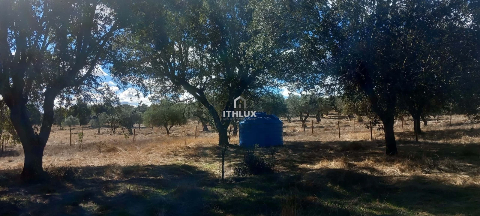 Terreno Agricola ou Rústico para Venda em Barbacena e Vila Fernando Foto 11
