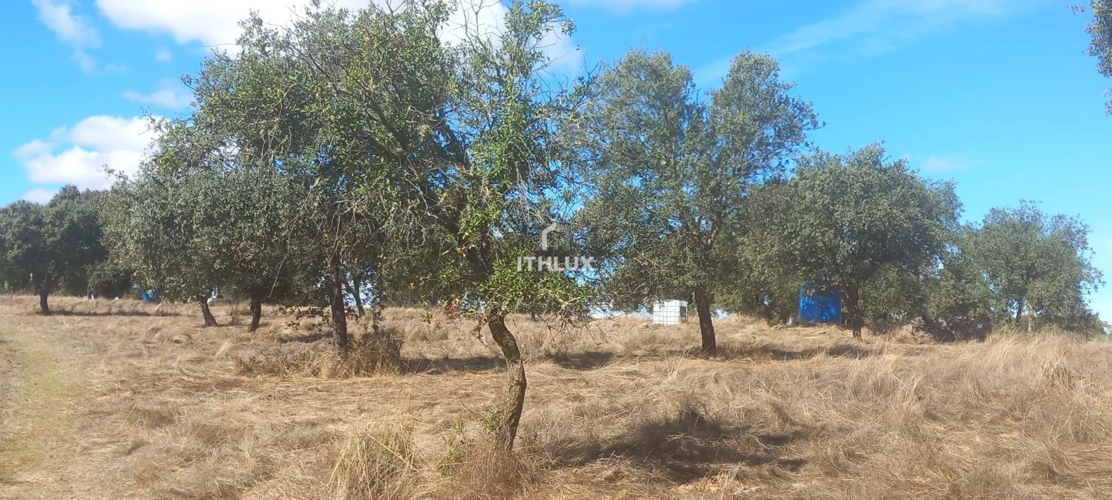 Terreno Agricola ou Rústico para Venda em Barbacena e Vila Fernando Foto 10