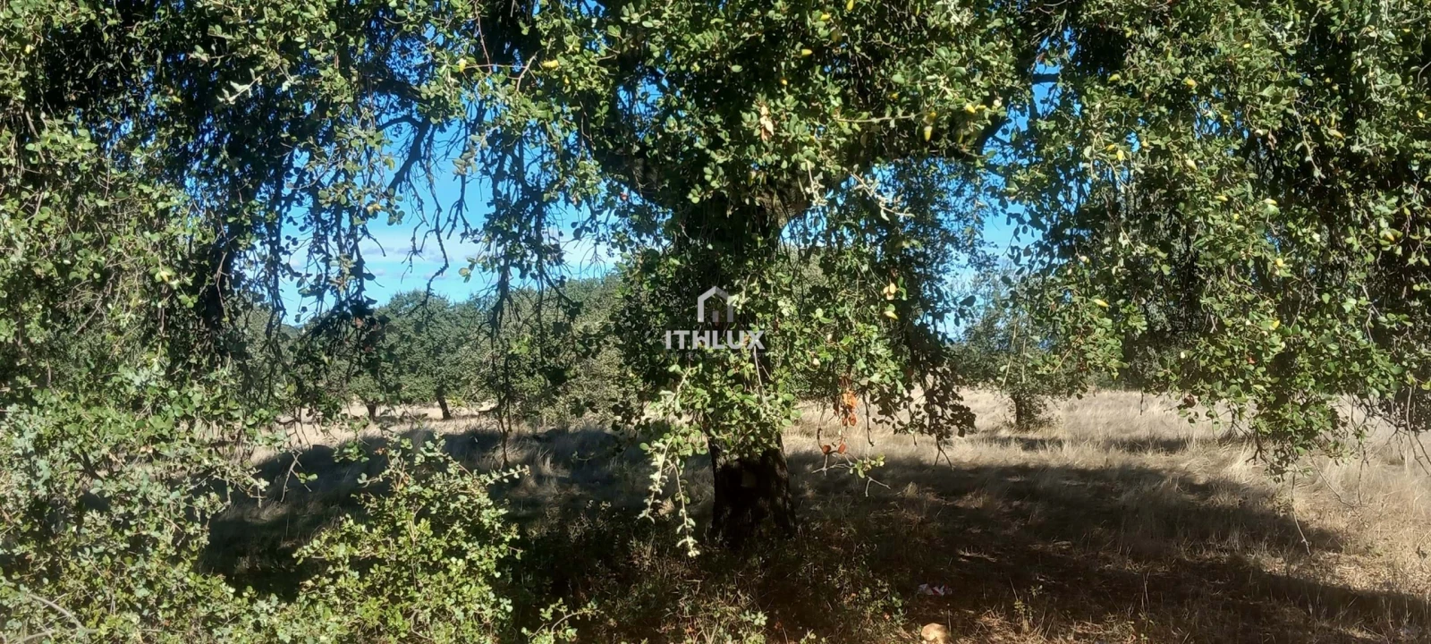 Terreno Agricola ou Rústico para Venda em Barbacena e Vila Fernando Foto 20