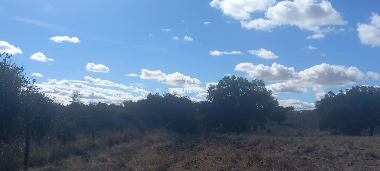 Terreno Agricola ou Rústico para Venda em Barbacena e Vila Fernando Foto 21