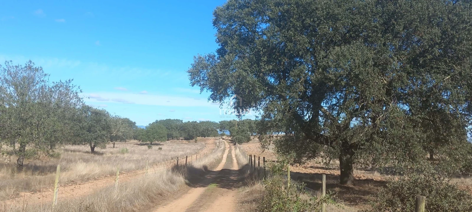 Terreno Agricola ou Rústico para Venda em Barbacena e Vila Fernando Foto 24