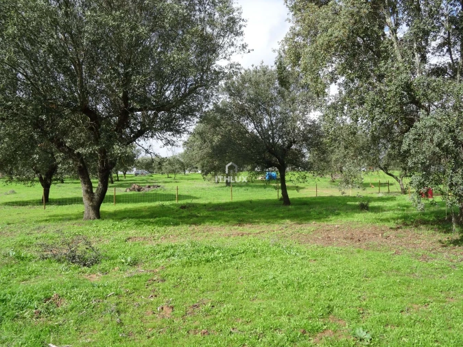 Terreno Agricola ou Rústico para Venda em Barbacena e Vila Fernando