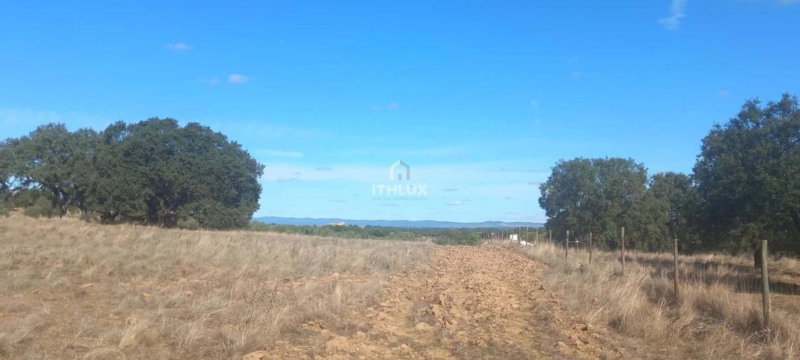 Terreno Agricola ou Rústico para Venda em Barbacena e Vila Fernando Foto 18