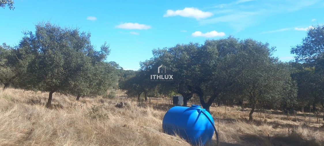 Terreno Agricola ou Rústico para Venda em Barbacena e Vila Fernando Foto 8