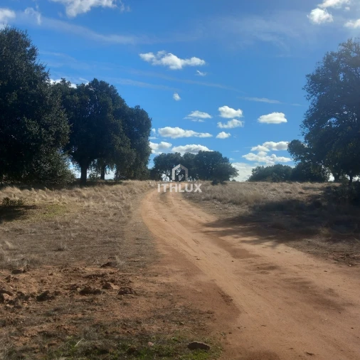 Terreno Agricola ou Rústico para Venda em Barbacena e Vila Fernando Foto 7