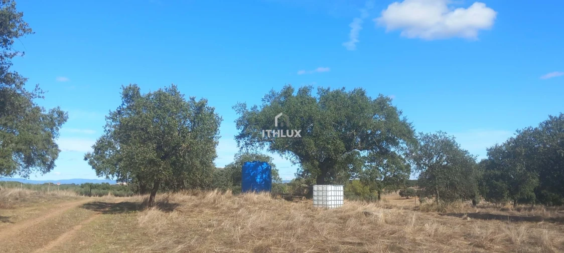 Terreno Agricola ou Rústico para Venda em Barbacena e Vila Fernando Foto 17
