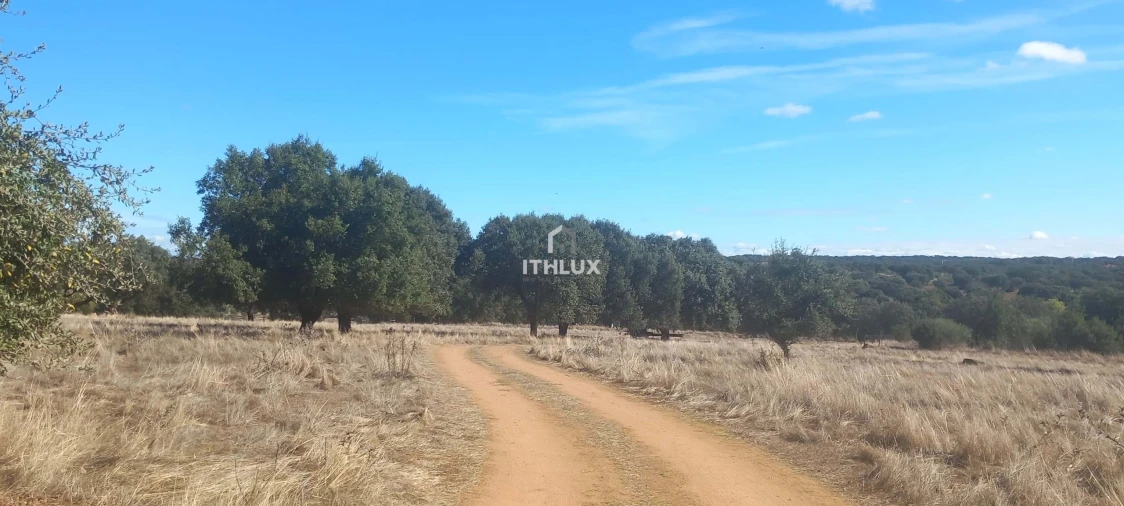 Terreno Agricola ou Rústico para Venda em Barbacena e Vila Fernando Foto 20