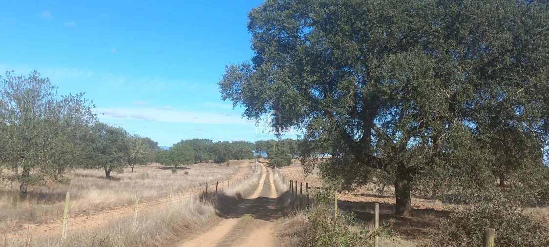 Terreno Agricola ou Rústico para Venda em Barbacena e Vila Fernando Foto 24