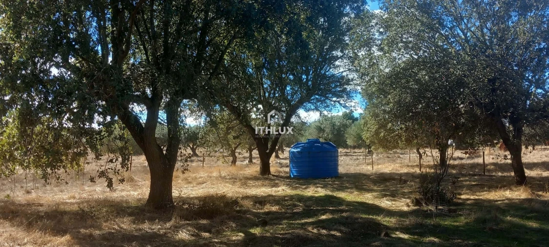Terreno Agricola ou Rústico para Venda em Barbacena e Vila Fernando Foto 10