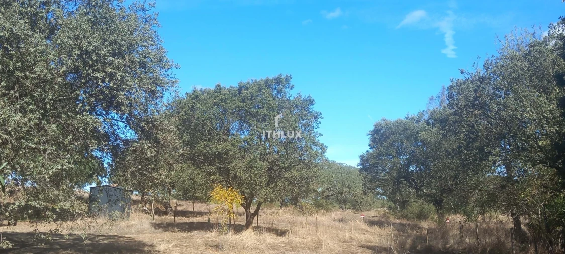 Terreno Agricola ou Rústico para Venda em Barbacena e Vila Fernando Foto 13