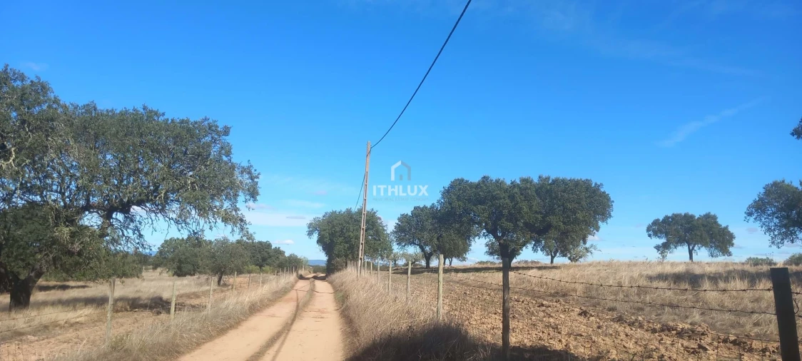 Terreno Agricola ou Rústico para Venda em Barbacena e Vila Fernando Foto 5