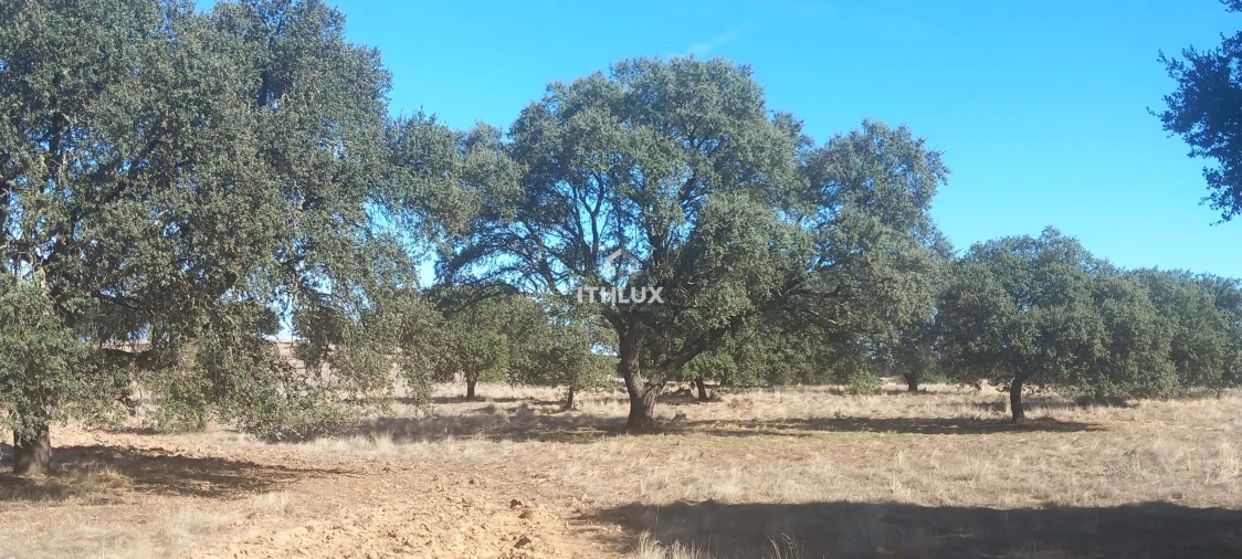 Terreno Agricola ou Rústico para Venda em Barbacena e Vila Fernando Foto 23