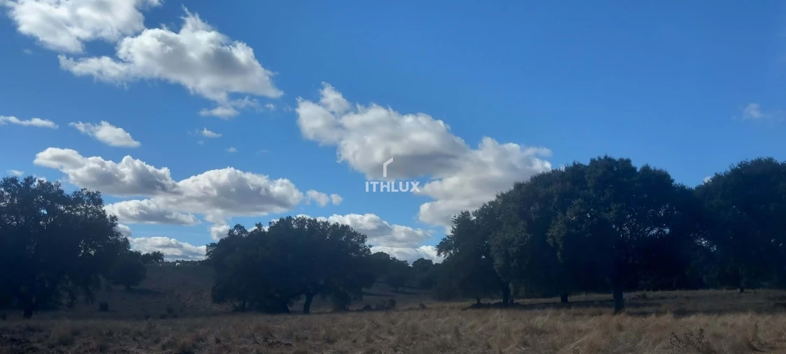Terreno Agricola ou Rústico para Venda em Barbacena e Vila Fernando Foto 22