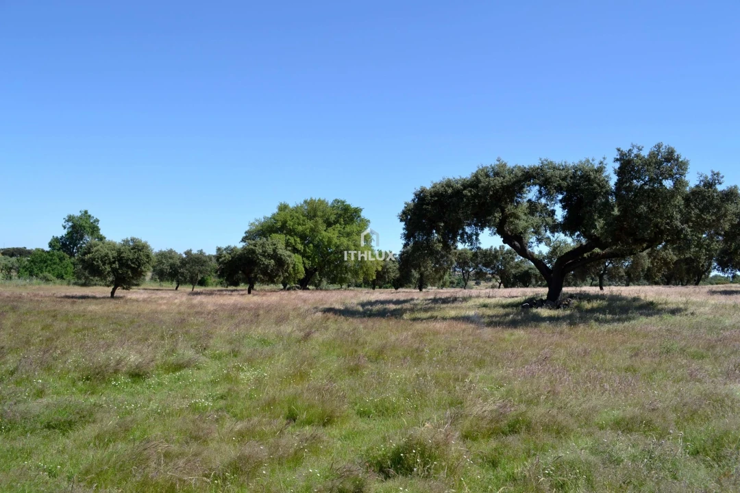 Terreno Agricola ou Rústico para Venda em Barbacena e Vila Fernando Foto 28