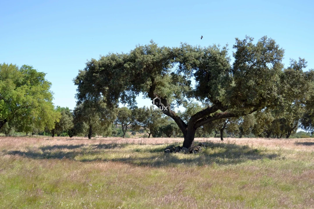 Terreno Agricola ou Rústico para Venda em Barbacena e Vila Fernando Foto 29