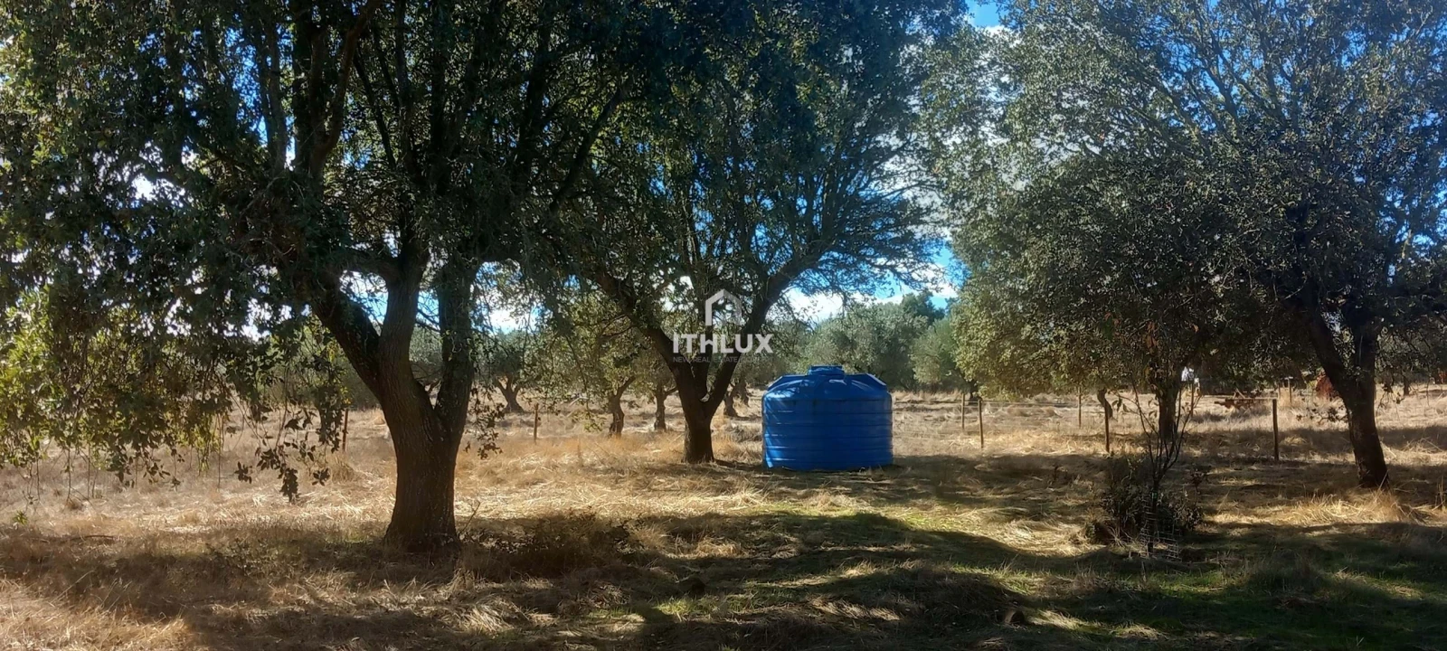 Terreno Agricola ou Rústico para Venda em Barbacena e Vila Fernando Foto 12