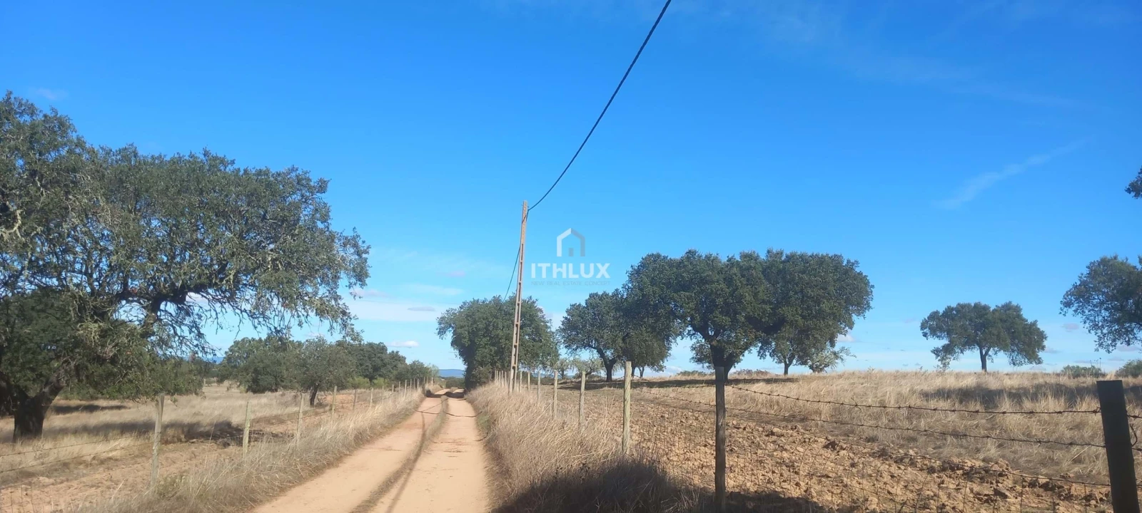 Terreno Agricola ou Rústico para Venda em Barbacena e Vila Fernando Foto 6