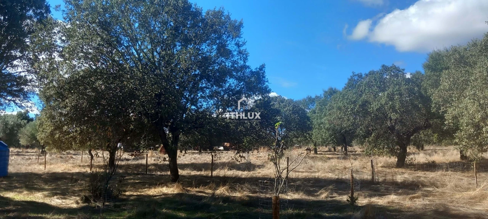 Terreno Agricola ou Rústico para Venda em Barbacena e Vila Fernando Foto 13