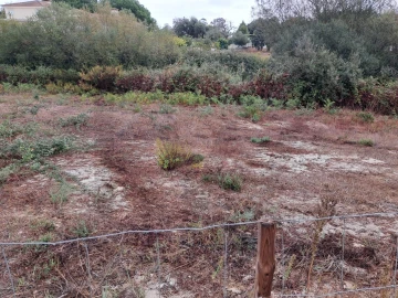 Terreno para Venda em Palmela