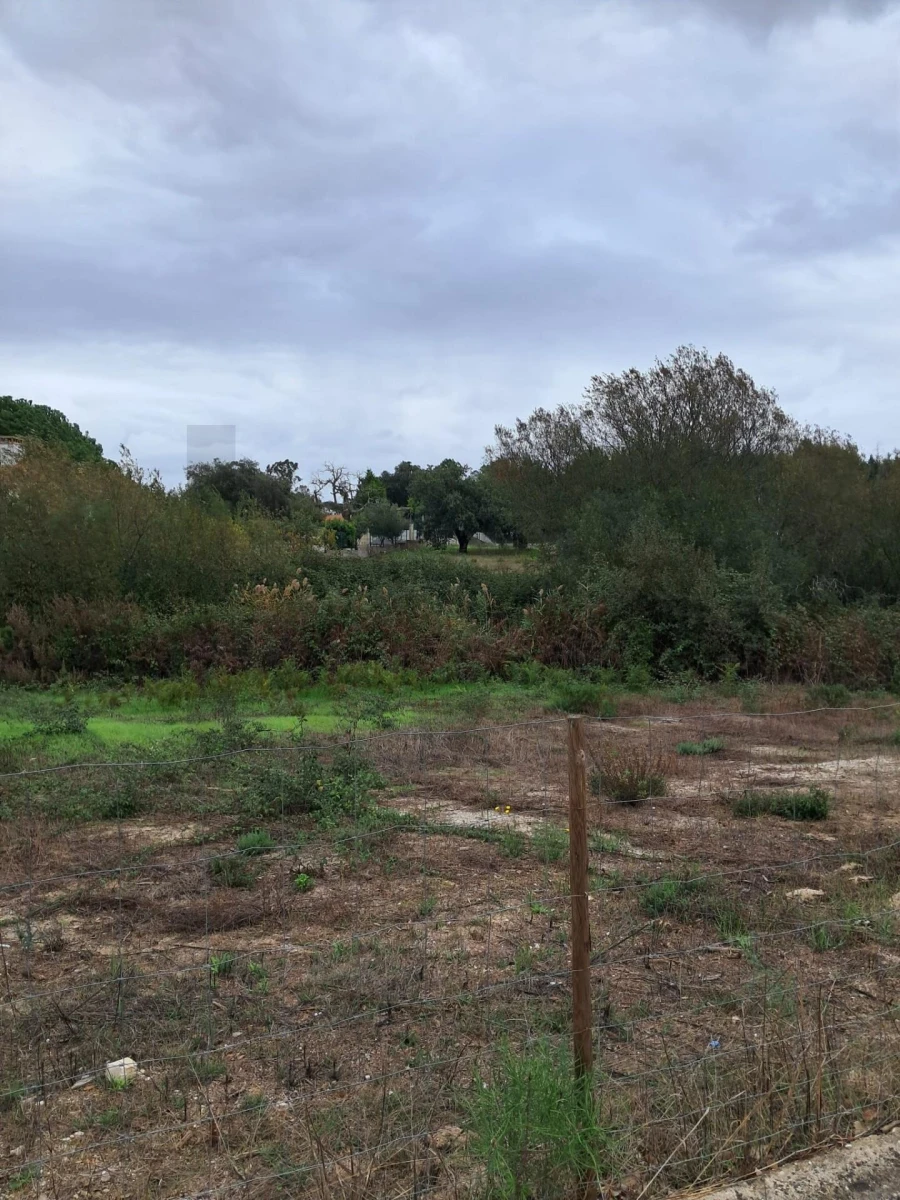 Terreno para Venda em Palmela Foto 15