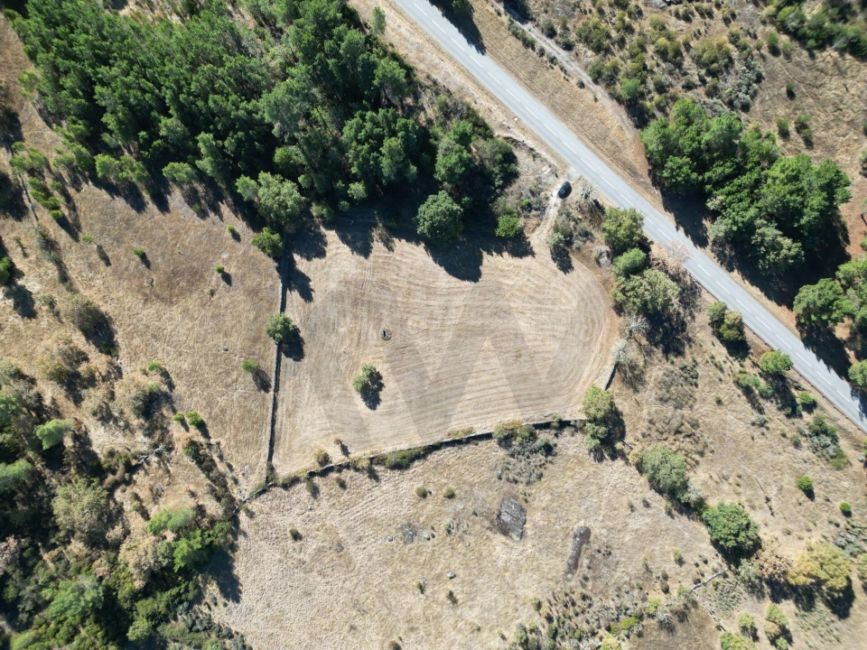 Terreno para Venda em Vila Garcia Foto 6