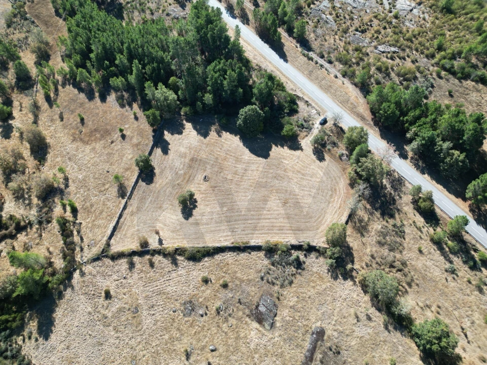 Terreno para Venda em Vila Garcia Foto 1