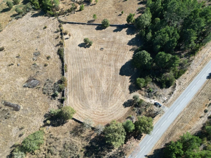 Terreno para Venda em Vila Garcia Foto 7
