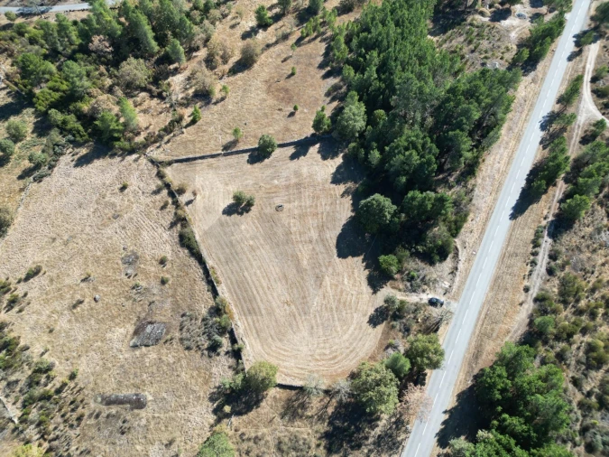 Terreno para Venda em Vila Garcia Foto 5