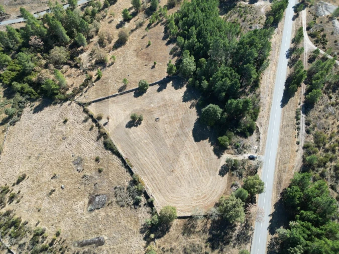 Terreno para Venda em Vila Garcia Foto 3