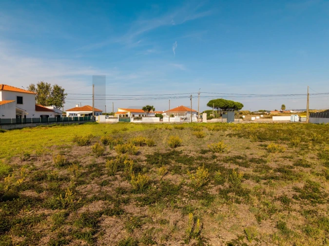 Terreno para Venda em Santa Maria e São Miguel, São Martinho, São Pedro Penaferrim Foto 10