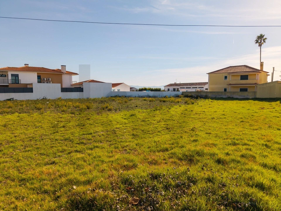 Terreno para Venda em Santa Maria e São Miguel, São Martinho, São Pedro Penaferrim Foto 13